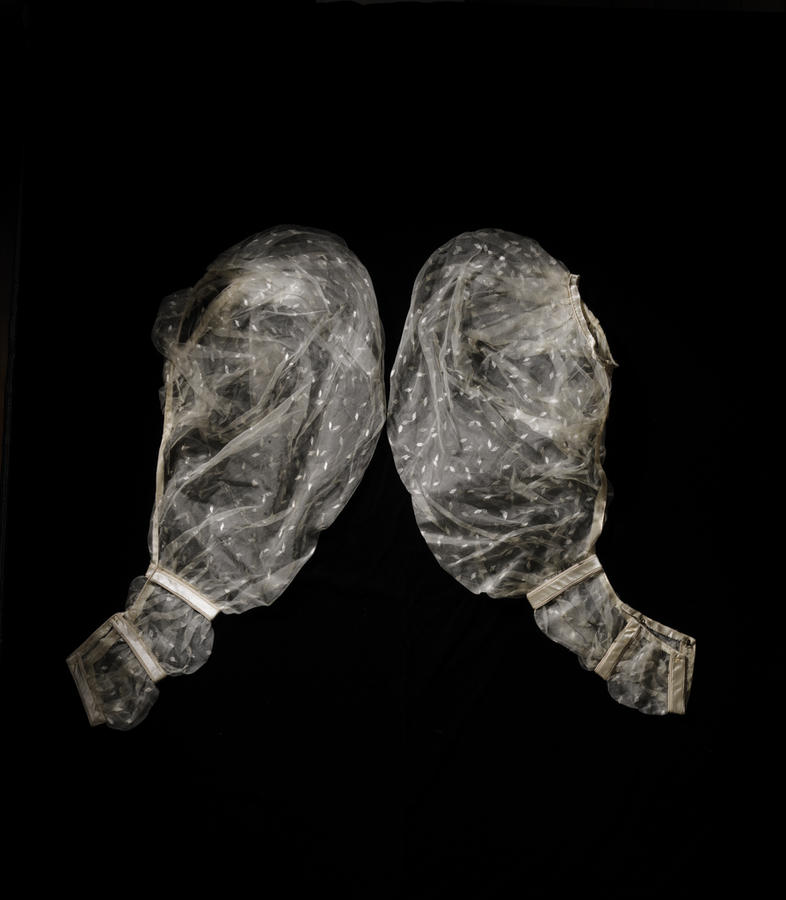 Gauze